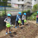 お水を沢山あげたよ！