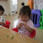 枝豆ここに入っているのかな？(つぼみ組)