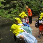 池の中、魚いるかな?