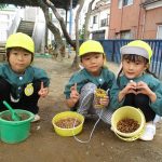 どんぐりたくさん集めたよ!