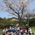 幸町公園の桜❀